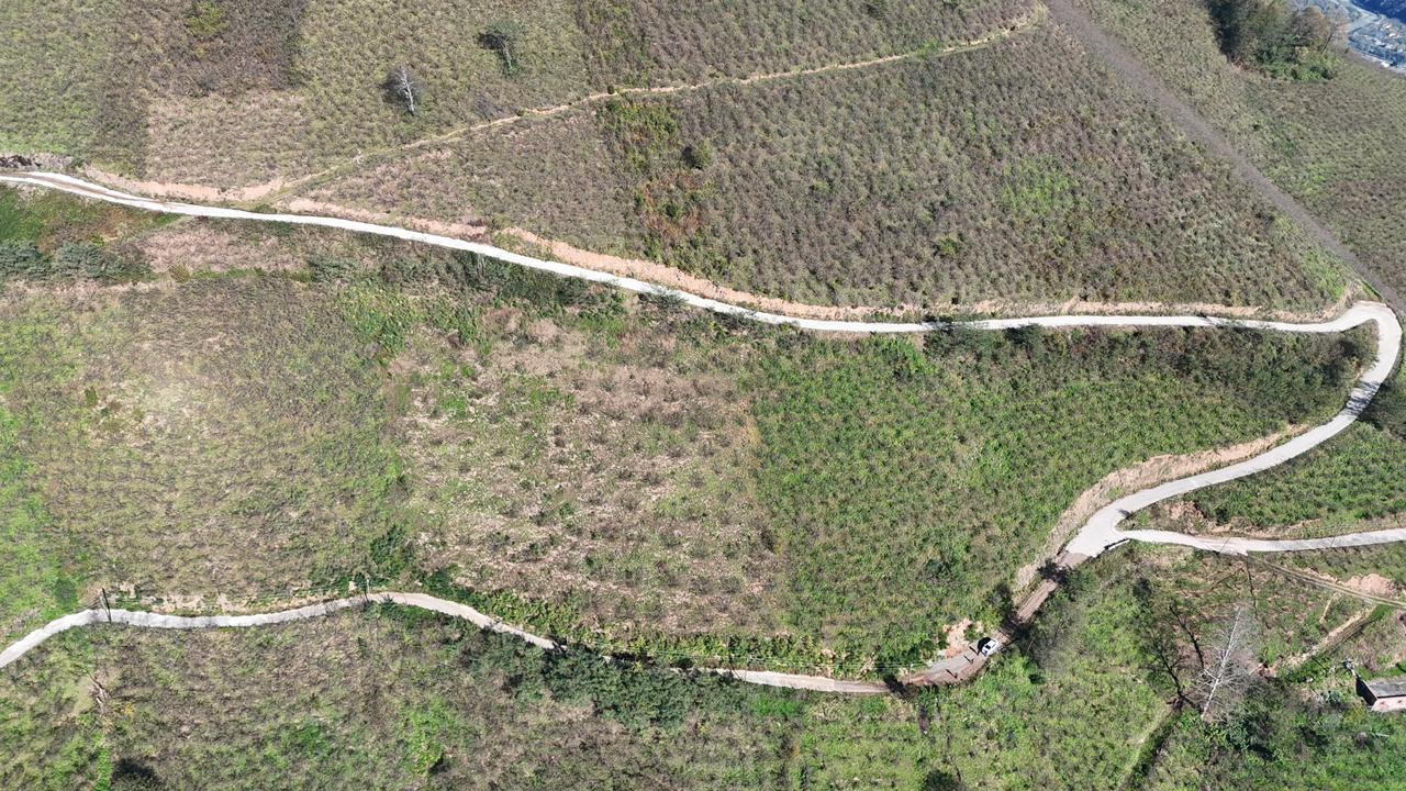 MABEL GAYRİMENKUL-ŞEYHMUSA KÖYÜ FIRSAT FINDIK BAHÇESİ